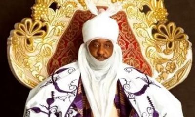 2023: Don't Go Into Politics, Shehu Sani Warns Sanusi