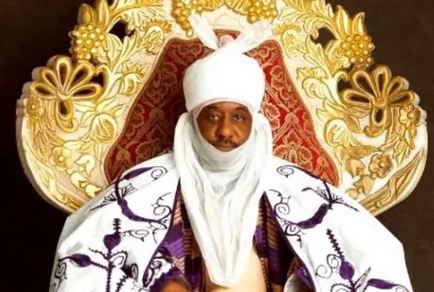 2023: Don't Go Into Politics, Shehu Sani Warns Sanusi