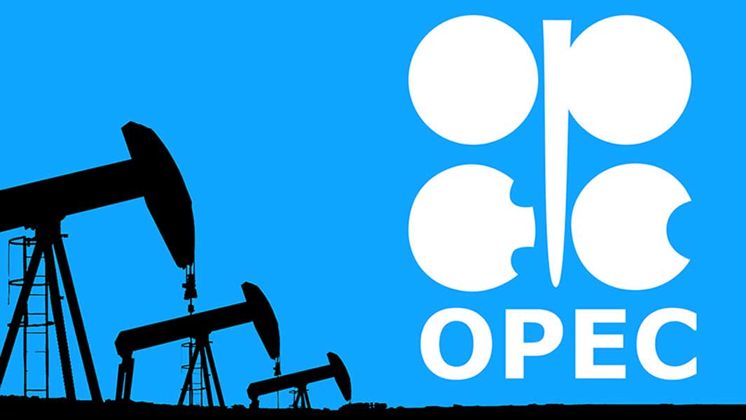 What OPEC Said About Mele Kyari Appointment As NNPC GMD