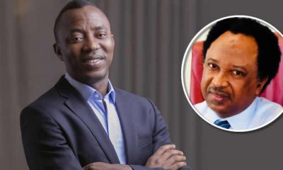 'Your Hair Will Benefit From Akeredolu’s marijuana' - Sowore Tells Shehu Sani