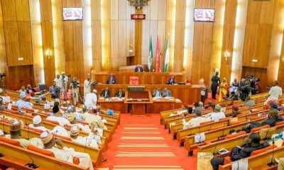 APC, PDP Senators Disagree Over Electronic Transmission Of Election Results