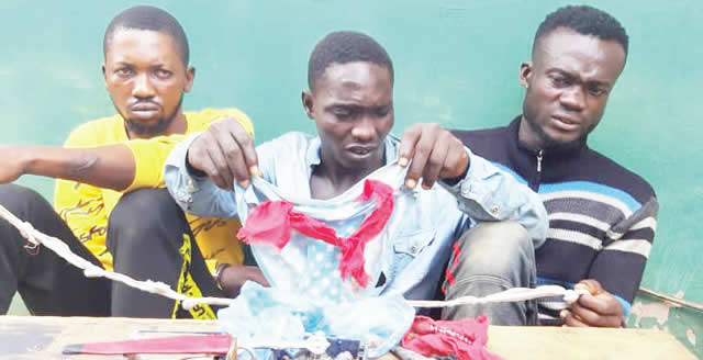 Hoodlums apprehended with female underwear