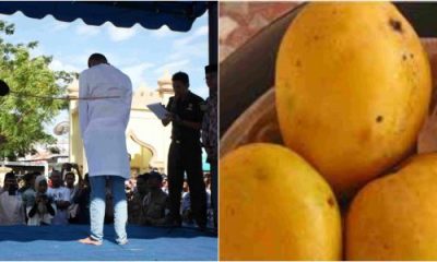Ramadan: Man Flogged 40 Lashes For Eating Mango In Jigawa