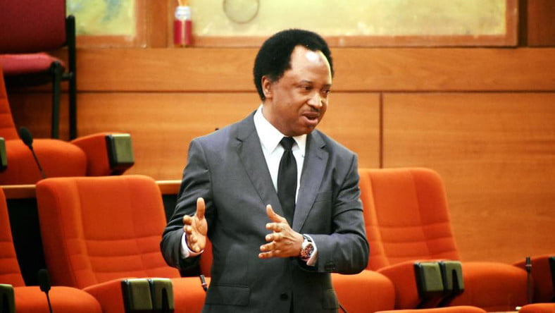 Shehu Sani Alleges Why National Assembly Rejected Gender Bills