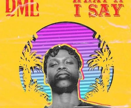 Fireboy-DML-–-What-If-I-Say-450x370