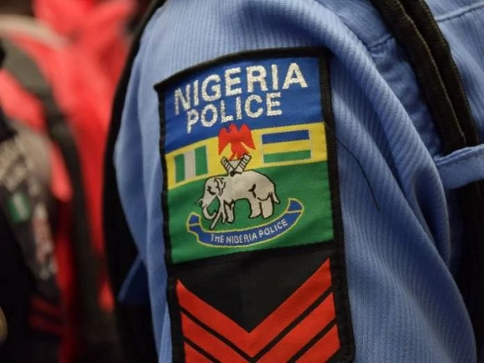 38 Kidnappers, Shila Boys, Others Paraded By Police In Adamawa
