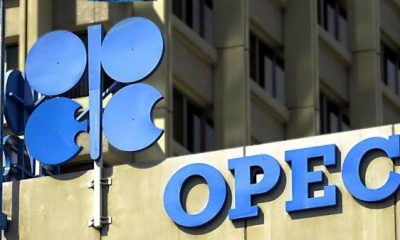 What OPEC Said About Mele Kyari Appointment As NNPC GMD