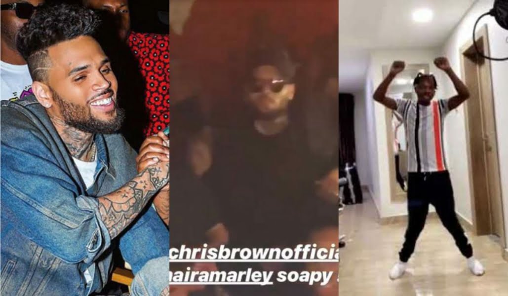 Chris Brown Dances To Naira Marley's Soapy (Video)
