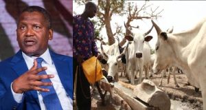 Nigerians React To Dangote's N288bn Milk Production Plan