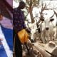 Nigerians React To Dangote's N288bn Milk Production Plan
