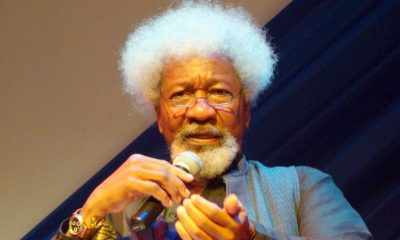 Those Accusing Me Of Fraudulent Academic Records Have 30 Days To Bring Evdence - Soyinka