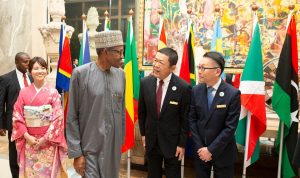 Biafra: Why IPOB can't attack Buhari in Japan - Presidency