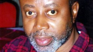 Why We Arrested Activist Chido Onumah - DSS