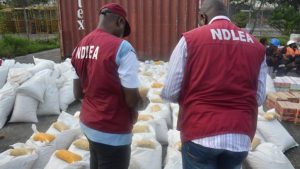 NDLEA Arrests 123 Drug Suspects, Seizes 2,265kgs Illicit Drugs In Q1