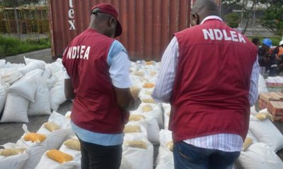 Kaduna NDLEA Arrests 84 Suspects, Seizes 451.976kg Illicit Drugs