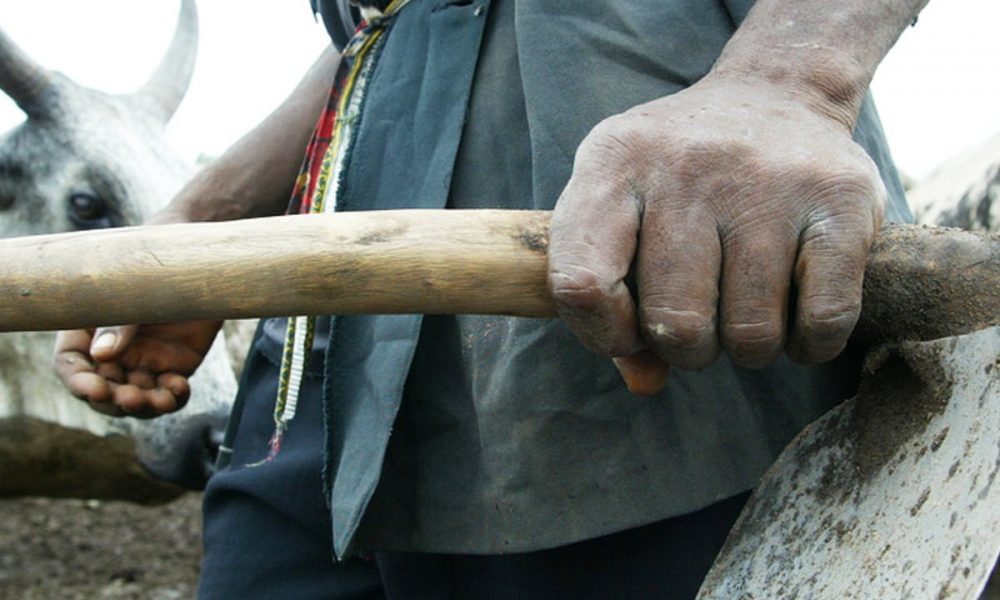 Man Kills Wife with Hoe in Niger State