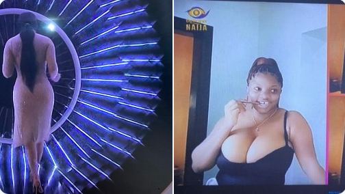 Busty BBNaija Housemate Dorothy Shakes Twitter (Photos/Video)