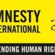 Amnesty Int'l Reacts To Killing Of Two Policemen In South-East