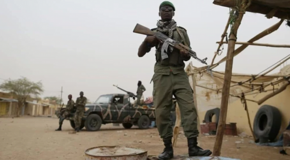 Military Coup: EU Suspends Mali Training Missions