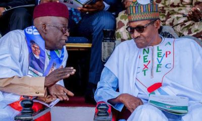 Don't Be Like Buhari Who Appointed “Johnny Just-comes” - APC Chieftain Tells Tinubu