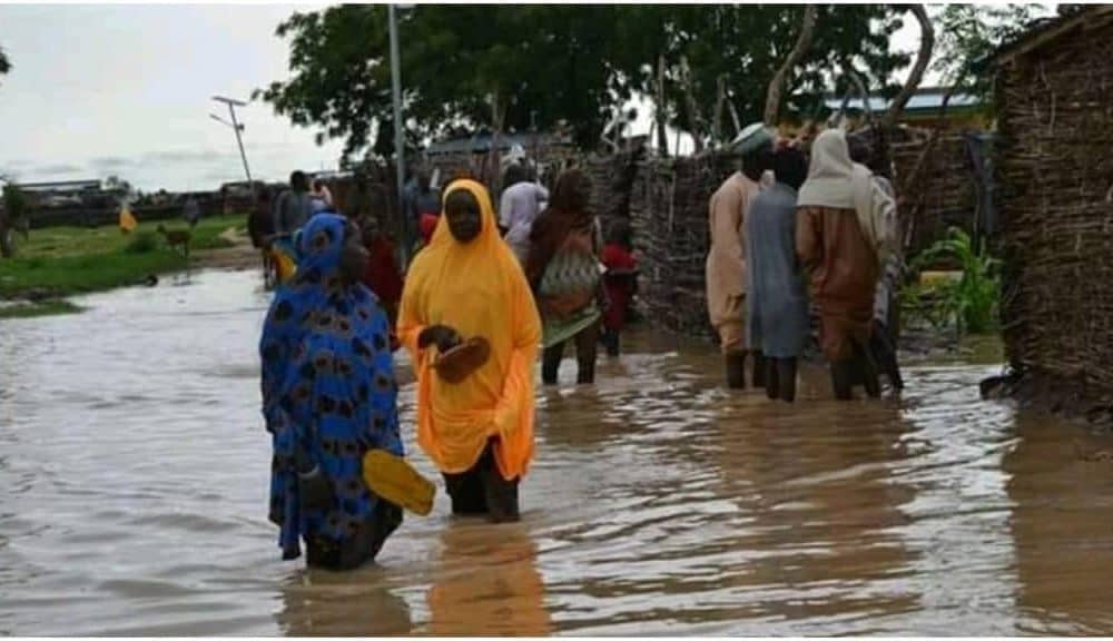 Why Some States Are Experiencing Floods - FG Reveals
