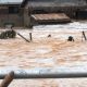 Jigawa: Flood Kills 50, Displaces Many