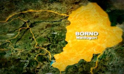 Borno Governorship, House of Assembly Election Results For Hawul LGA