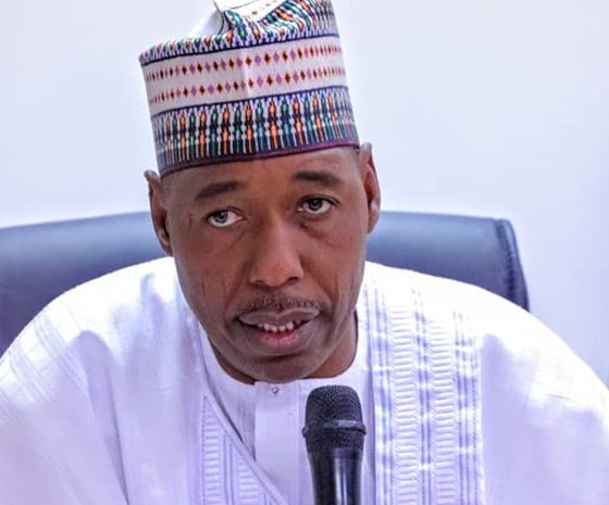 Borno: Governor Zulum Reacts After Election Victory