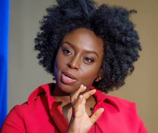 Why I Wrote Biden Over 2023 Presidential Election - Chimamanda Adichie