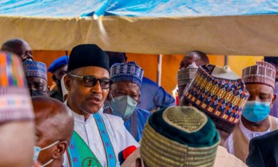 Why Buhari Removed His Face Mask In Daura - Onochie