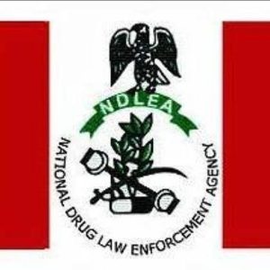 NDLEA Speaks On Sack Of Its Chairman, Abdallah