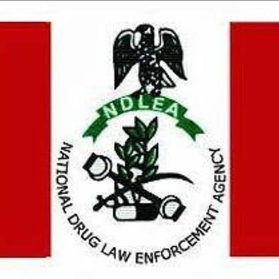 NDLEA Arrests 7 At Kano Airport For Drug Trafficking