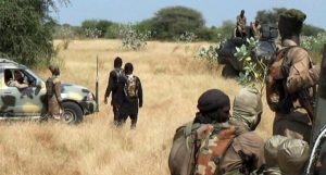 Just In: ISWAP Terrorists Attack, Kill Man On Borno Road