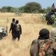 Boko Haram Top Commander, Ari-Difinoma Surrenders To Army