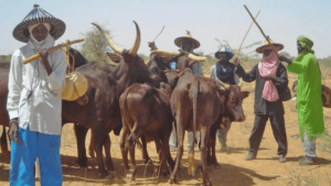 FG Speaks On Treating Herdsmen Killings With Kid Gloves