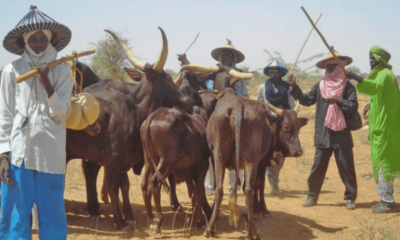 Fulani Group Drags Nine Media Platforms, Others To Court Over Ethnic Profiling - [See Full List]