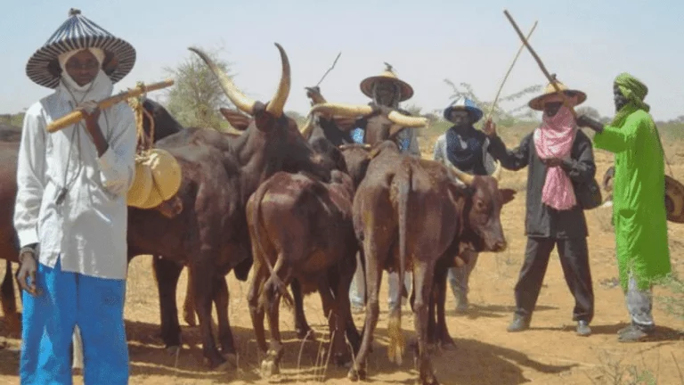 Establish Ministry Of Nomadic Affairs To End Fulani-Herders' Crisis - Miyetti Allah Tells FG