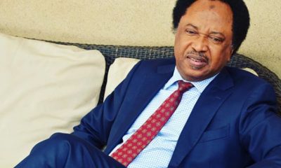 2023: Shehu Sani Tells NDLEA How To Make Politicians Submit Themselves For Drug Test
