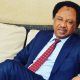 2023: Shehu Sani Reacts As Tinubu Reportedly Tells INEC His Certificates Are Missing