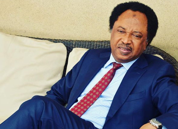 2023: Shehu Sani Tells NDLEA How To Make Politicians Submit Themselves For Drug Test