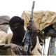 Three Killed, 28 Kidnapped As Terrorists Attack Niger Villages