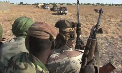 ISWAP Fighters Kill Scores Of Boko Haram Insurgents In Borno