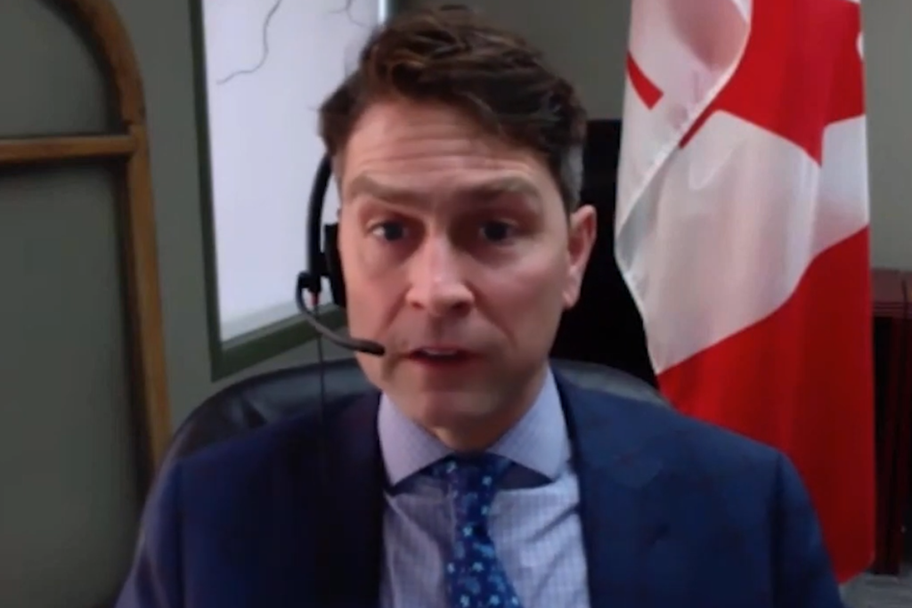 Canadian MP caught naked while attending Zoom call 