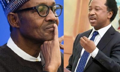 Shehu Sani Reacts To Buhari's Cancelled Trip To Zamfara