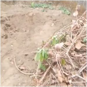 See The Shallow Grave Where Iniobong Umoren’s Killer, Uduak Akpan Dug And Kept Her And Other Victims