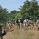 Three ISWAP Commanders, 43 Terrorists Killed In Borno