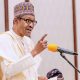 Those Who Looted NDDC Funds Will Be Punished - President Buhari Vows