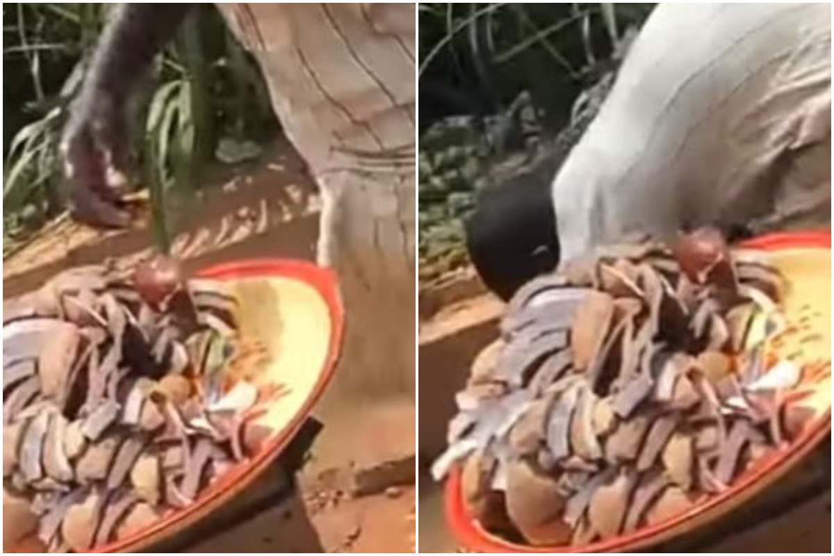 Coconut Seller Caught Using Gutter Water To Wash