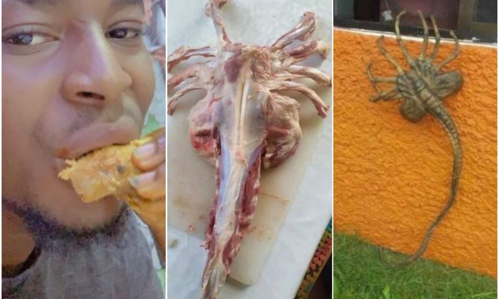 Man Leaves Nigerians In Shock After Eating Strange Meat On Social Media