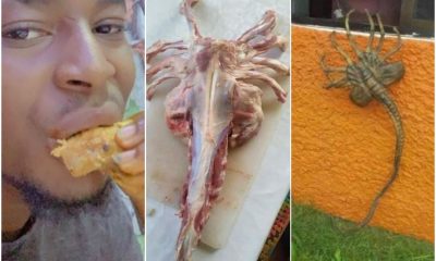Man Leaves Nigerians In Shock After Eating Strange Meat On Social Media